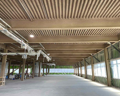 Spray Applied Fireproofing on a ceiling